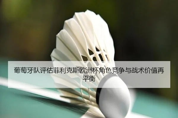 葡萄牙队评估菲利克斯欧洲杯角色竞争与战术价值再平衡
