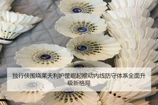 独行侠围绕莱夫利护筐崛起推动内线防守体系全面升级新格局
